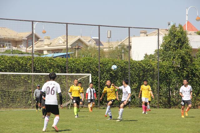 塔帅：厄德高上场节奏会有所不同